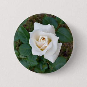 witte rosebud ronde button 5,7 cm