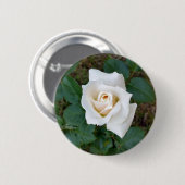 witte rosebud ronde button 5,7 cm (Voorkant /achterkant)