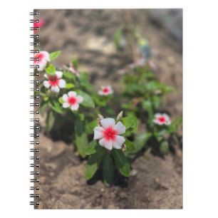 Witte roze bloem notitieboek