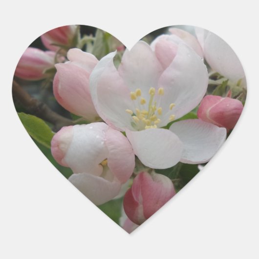 Witte Roze Bloemen Hart Sticker (Voorkant)