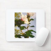 Witte roze bloemen in de blauwe hemel muismat (Met muis)