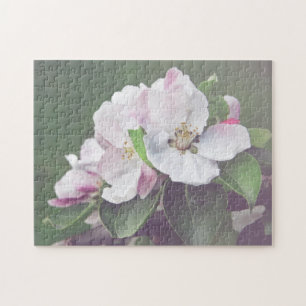 Witte Roze Bloesem Bloeiende Appelboom Legpuzzel