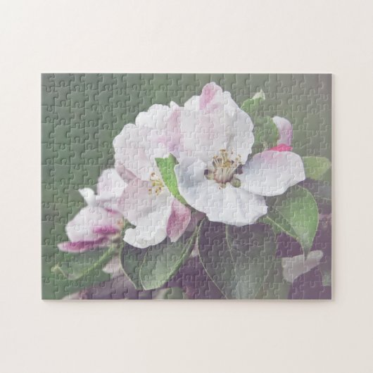 Witte Roze Bloesem Bloeiende Appelboom Legpuzzel (Horizontaal)