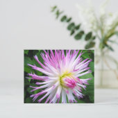Witte roze dahlia - Briefkaart (Staand voorkant)