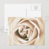 Witte roze druk briefkaart (Voorkant / Achterkant)