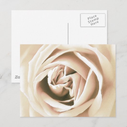 Witte roze druk briefkaart (Voorkant / Achterkant)