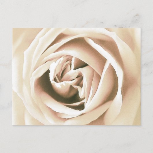 Witte roze druk briefkaart (Voorkant)