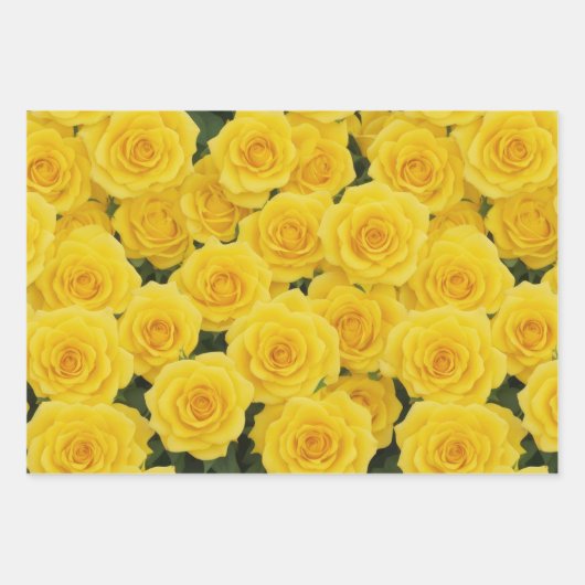 Witte, roze en gele rozen inpakpapier vel (Voorkant 3)