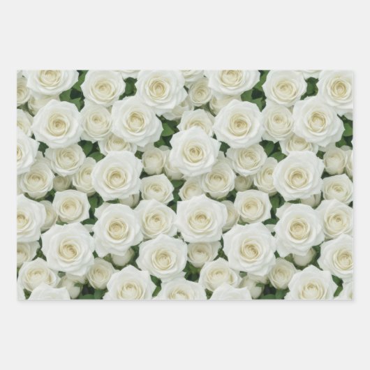 Witte, roze en gele rozen inpakpapier vel (Voorkant)