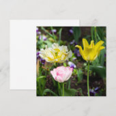Witte, roze en gele tulpen in de tuin (Voorkant / Achterkant)