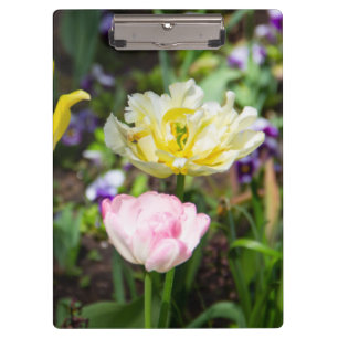 Witte, roze en gele tulpen in de tuin klembord