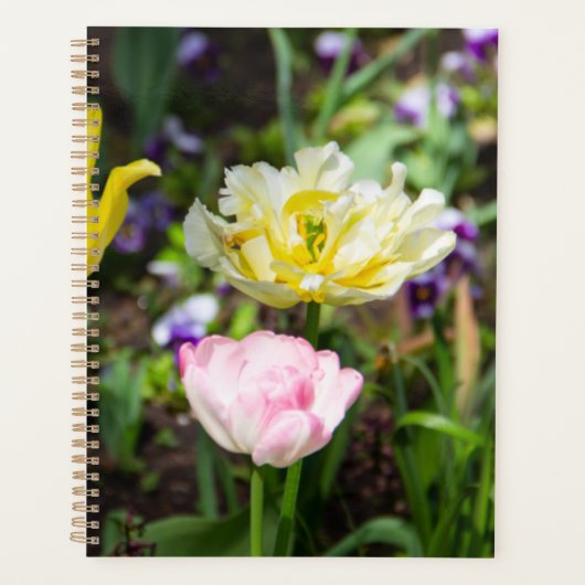 Witte, roze en gele tulpen in de tuin planner (Voorkant)