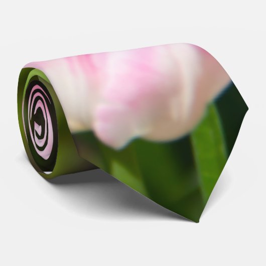 Witte, roze en gele tulpen in de tuin stropdas (Opgerold)