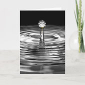 Witte roze in waterdruppel kaart (Voorkant)