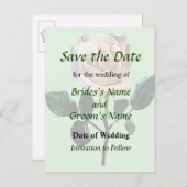 Witte roze opslaan Datum Aankondigingskaart (Voorkant / Achterkant)