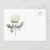 Witte roze opslaan Datum Aankondigingskaart (Achterkant)