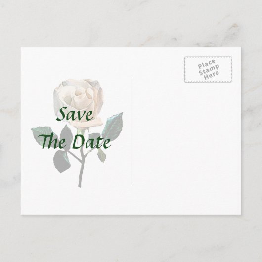 Witte roze opslaan Datum Aankondigingskaart (Achterkant)