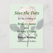 Witte roze opslaan Datum Aankondigingskaart (Voorkant)