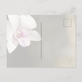 Witte Roze Orchidee Bloem Kauai, Hawaï Briefkaart (Achterkant)