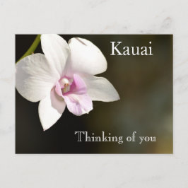 Witte Roze Orchidee Bloem Kauai, Hawaï Briefkaart