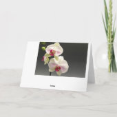 Witte roze orchideeën Dank je moeder voor mijn bru Bedankkaart (Achterkant)