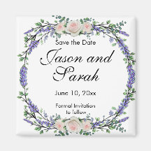 Witte roze rode luis van de luzerne