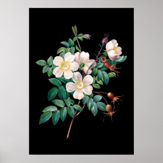 Witte roze roze zwarte achtergronddruk poster