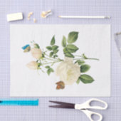  witte rozen #1 Butterflies Flowers Floral Tissuepapier (Craft)