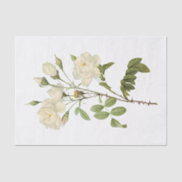  witte rozen #2 bloemen tissuepapier