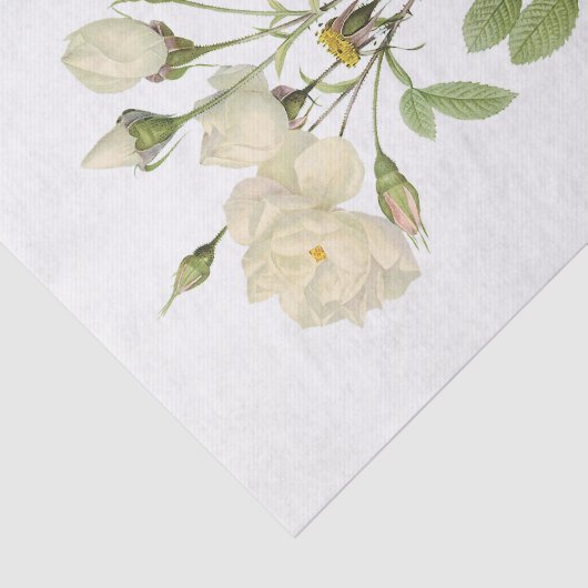  witte rozen #2 bloemen tissuepapier (Detail)