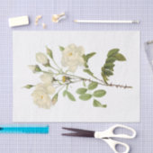  witte rozen #2 bloemen tissuepapier (Craft)