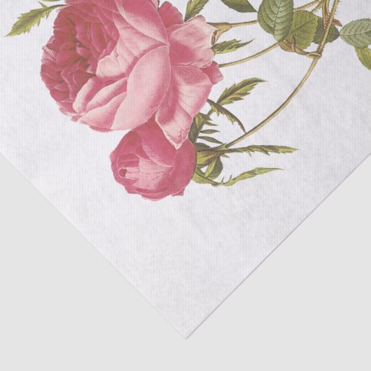  witte rozen #3 bloemen tissuepapier (Detail)