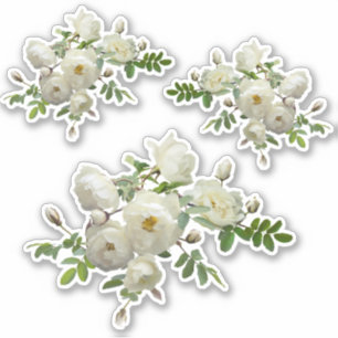 Witte rozen aan een tak scrapbook schrijfwaren sticker