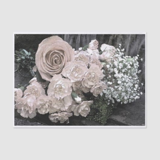  witte rozen anjers Baby Breate Tissuepapier (Voorkant)