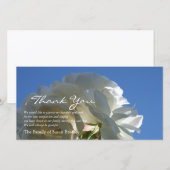 Witte Rozen Blauwe Lucht 3 Sympathie Bedankkaart (Voorkant / Achterkant)