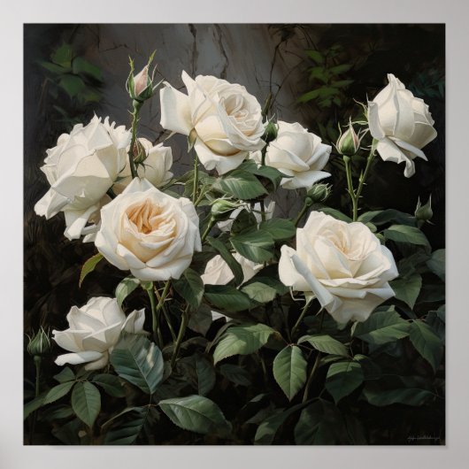 Witte Rozen Bloem Kunst Print Poster (Voorkant)