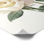 Witte Rozen Bloem Kunstprint Poster (Hoek)