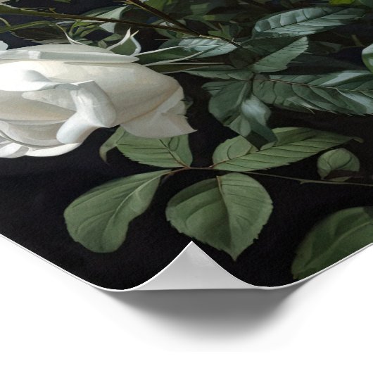 Witte Rozen Bloemen Art Print Poster (Hoek)