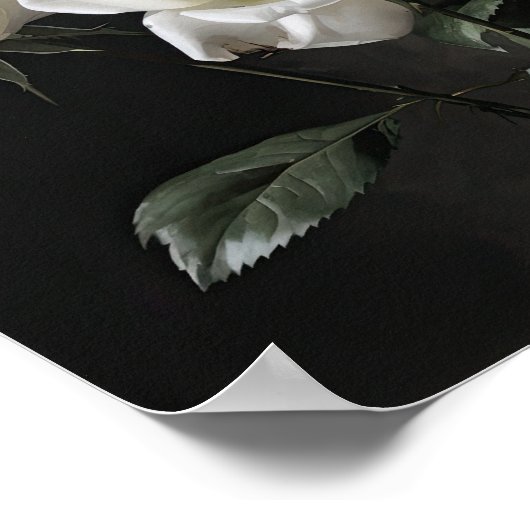 Witte Rozen Bloemen Art Print Poster (Hoek)