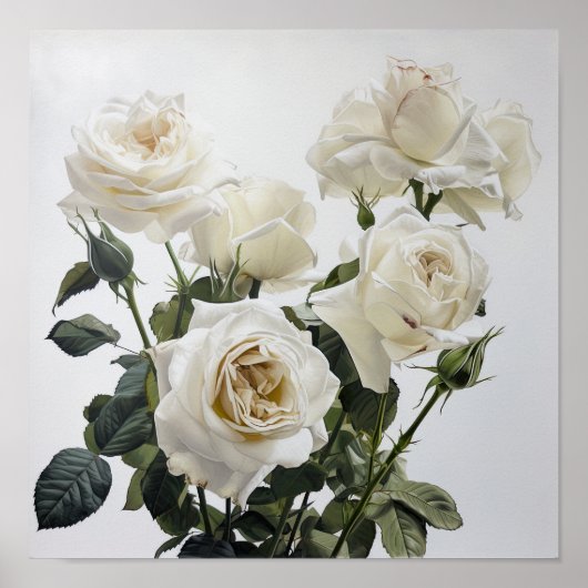 Witte Rozen Bloemen Art Print Poster (Voorkant)