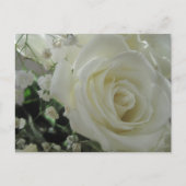 Witte rozen briefkaart (Voorkant)