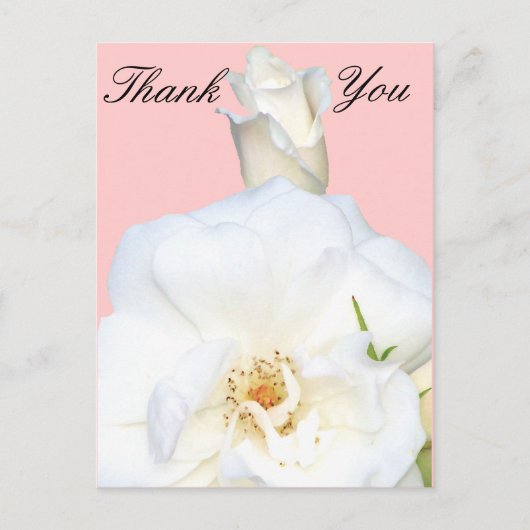 Witte rozen_ briefkaart (Voorkant)