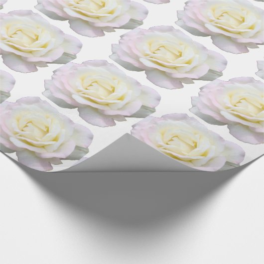 Witte rozen cadeaupapier (Hoek)