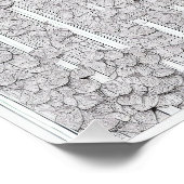 Witte rozen E Perfect Poster (Hoek)