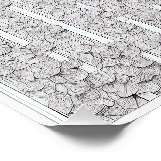 Witte rozen E Perfect Poster (Hoek)