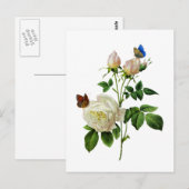 Witte Rozen en Vlinders door Redoute Briefkaart (Voorkant / Achterkant)