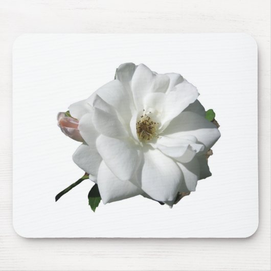 Witte Rozen Feest Bruiloft Bloesem Bestemming Muismat (Voorkant)