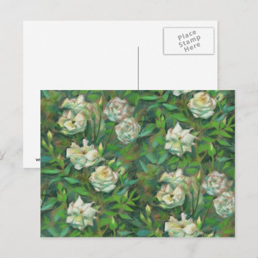 Witte rozen, groene bladeren, mooie bloemen briefkaart (Voorkant / Achterkant)