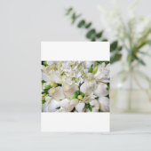 Witte rozen, Happy_ Briefkaart (Staand voorkant)