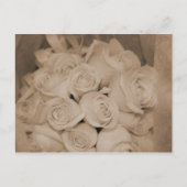 Witte rozen in sepia briefkaart (Voorkant)